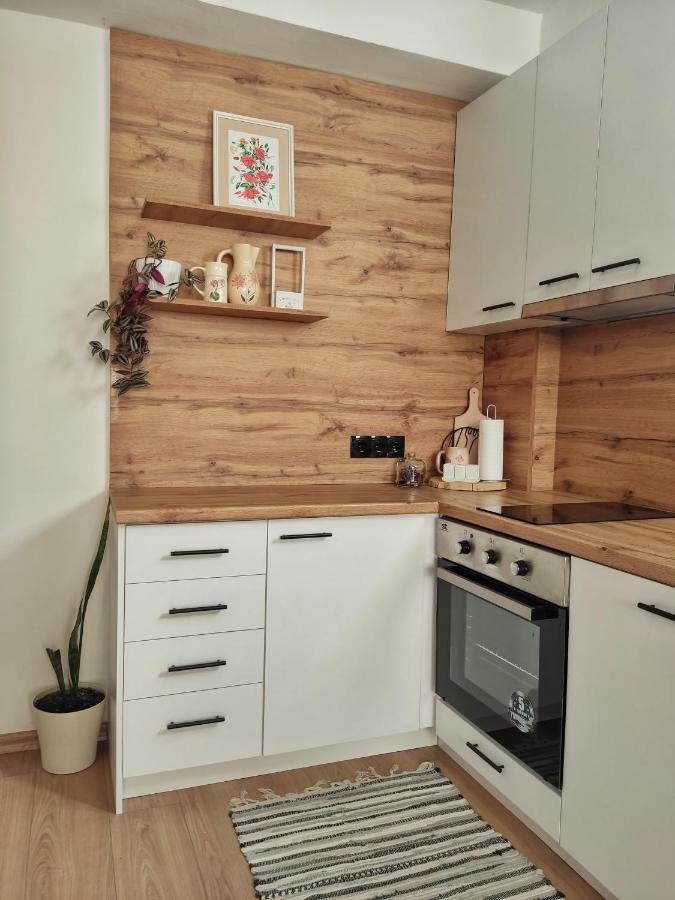 Marko'S Apartment Охрид Экстерьер фото